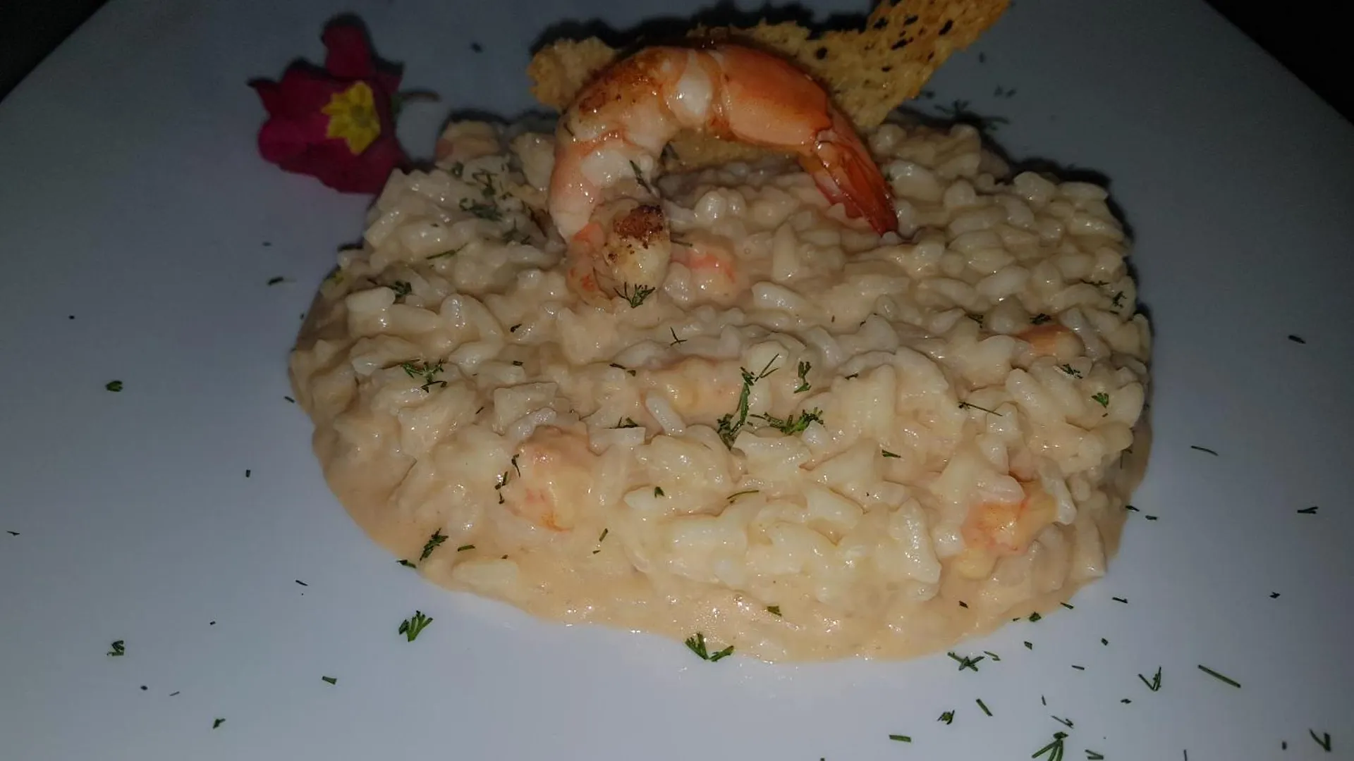 Hotel Salambina サロブレーニャ